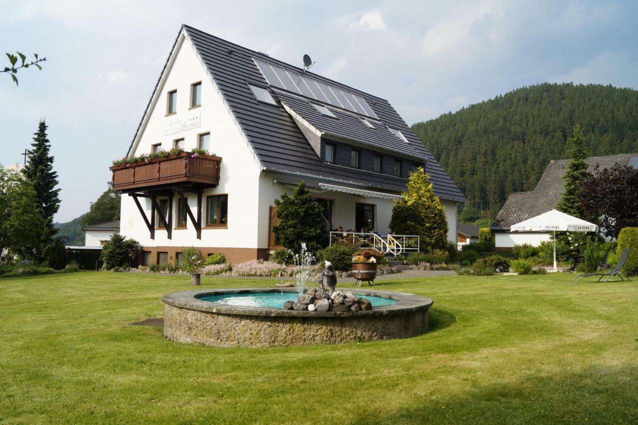 Landhaus Stremme Willingen  Extérieur photo