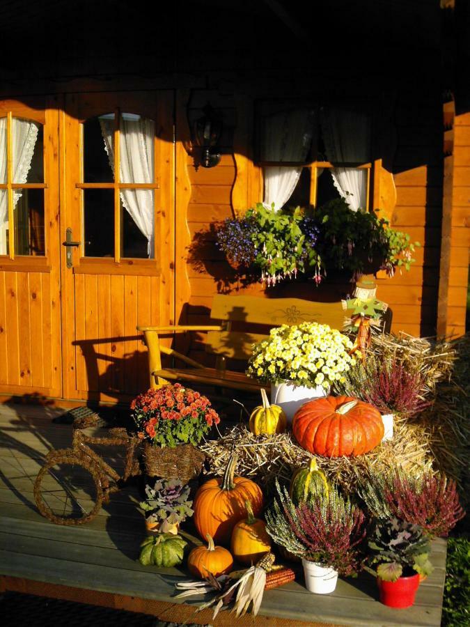 Landhaus Stremme Willingen  Extérieur photo