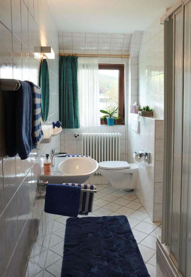 Landhaus Stremme Willingen  Extérieur photo